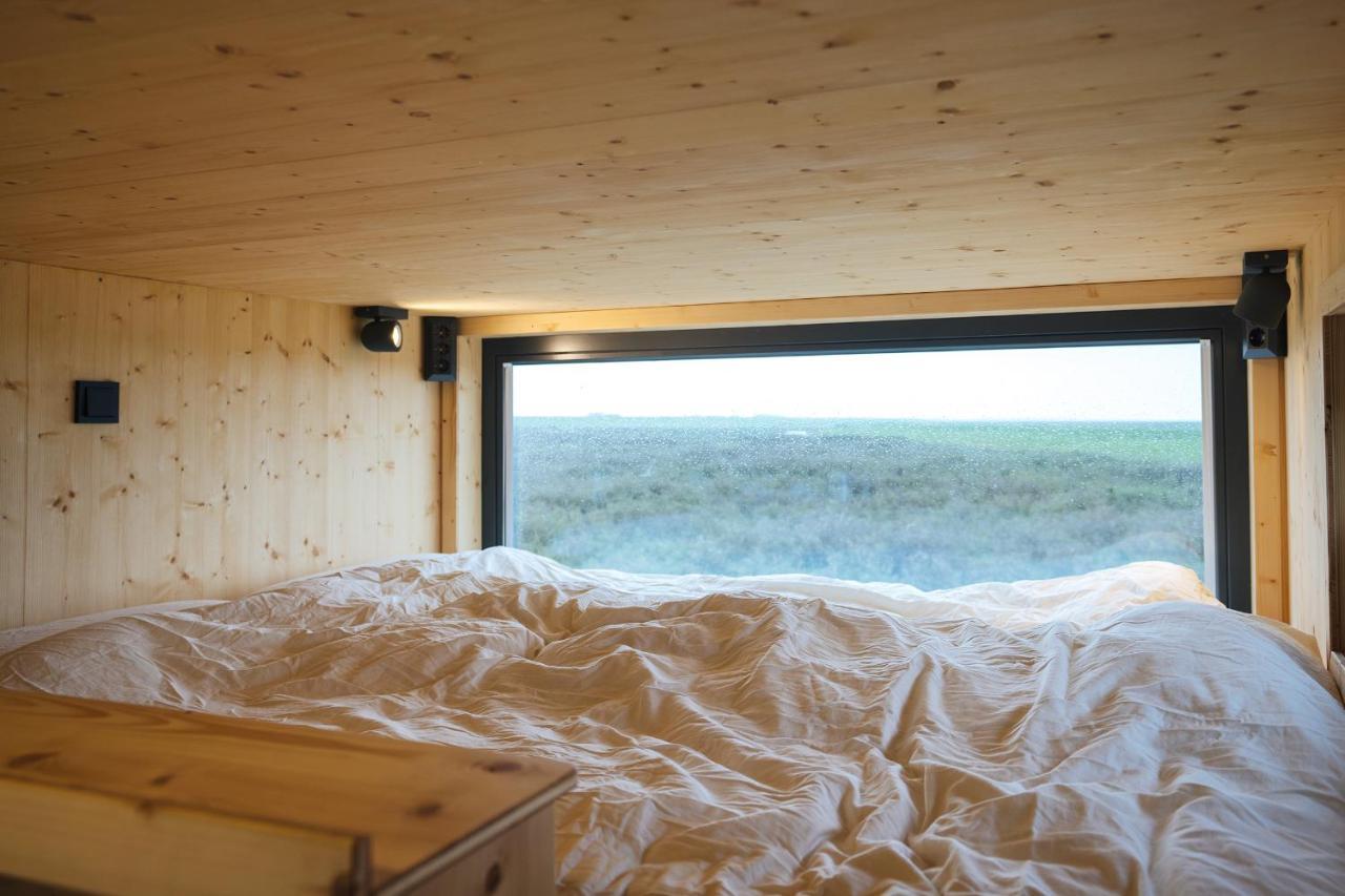 Tiny House Nature 8 Innenlage - Green Tiny Village Harlesiel 卡罗利嫩西尔 外观 照片